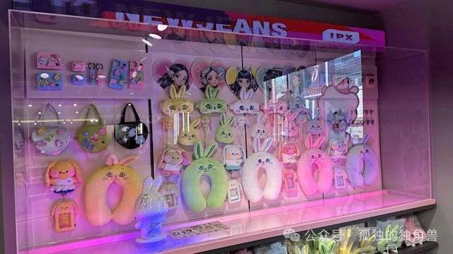 最难断舍离排行榜常客：追星小物、手灯套与娃衣们该如何收纳？